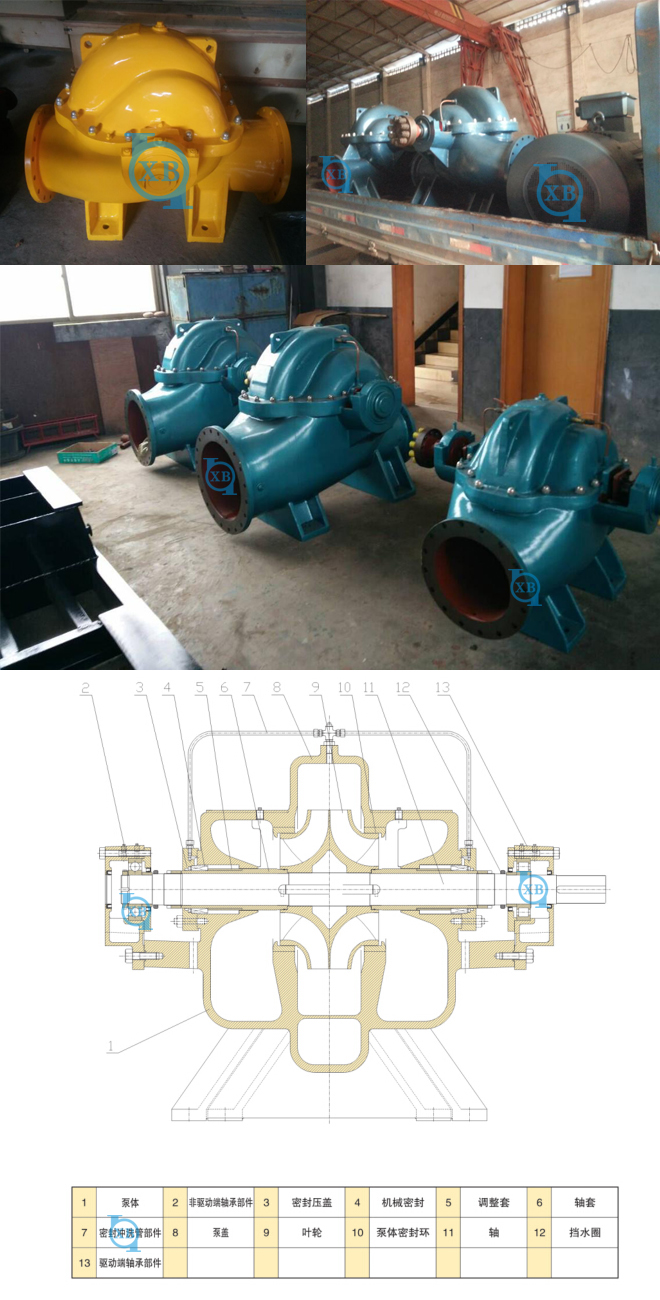 1615863674137082.png SH型中開泵.png